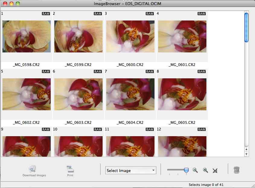 Image Browser © Phil Gee 2010